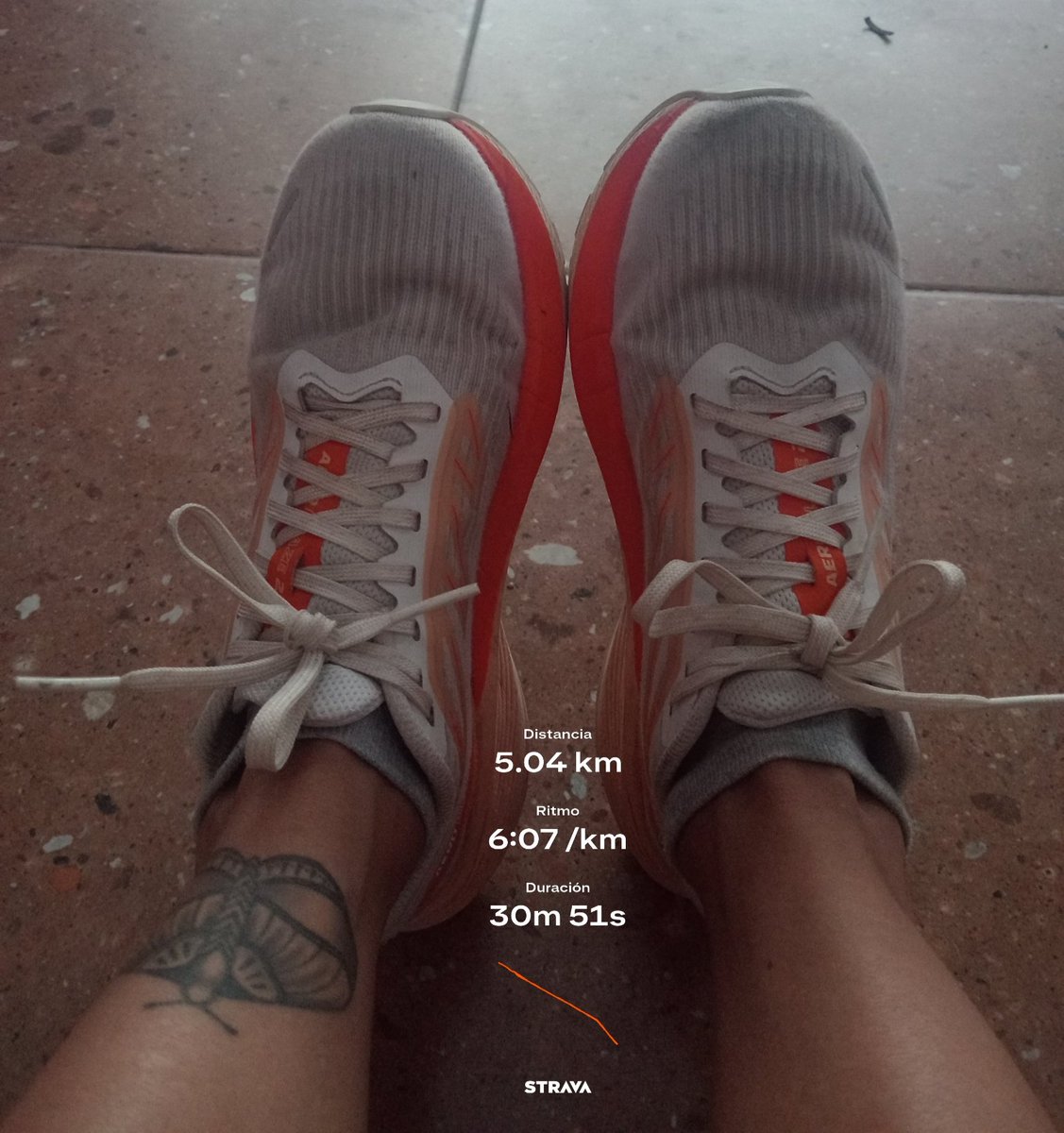 itzel 🚀 tweet media