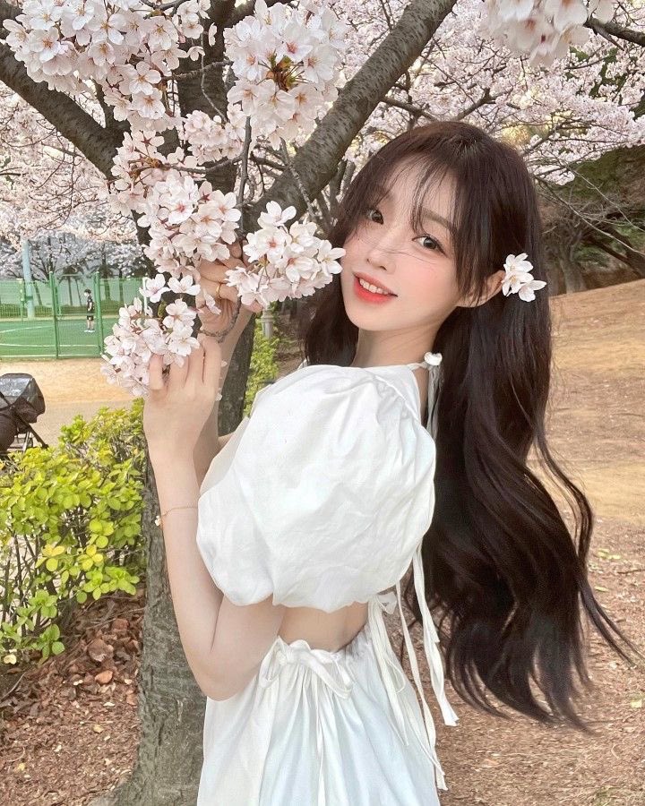 nannynpingping's tweet photo. 데이트나 놀러가서 찍어달라 하고픈 벚꽃포즈 레퍼런스 버전2 https://t.co/2n4vix6x0f