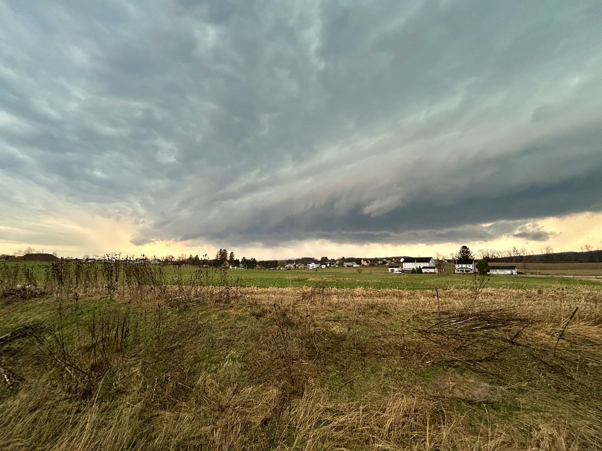 Nico Wells ⛰️ tweet media