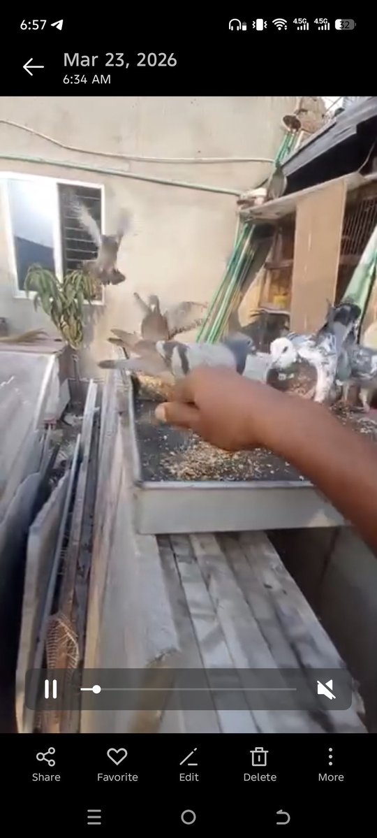 Md Nazmul tweet media