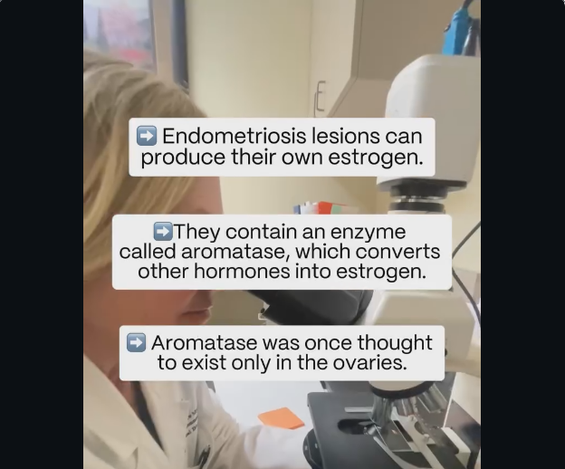 Iria Rodríguez tweet media