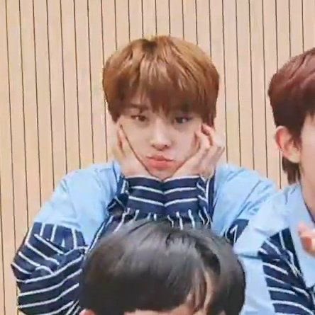 개샴푸 tweet media