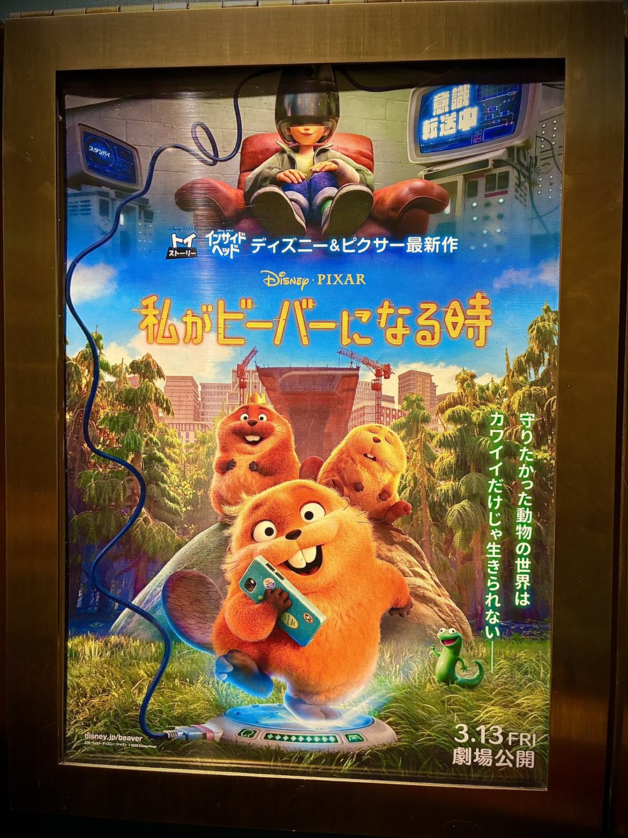 キノ・アンドロウィッチ☕🎃 tweet media