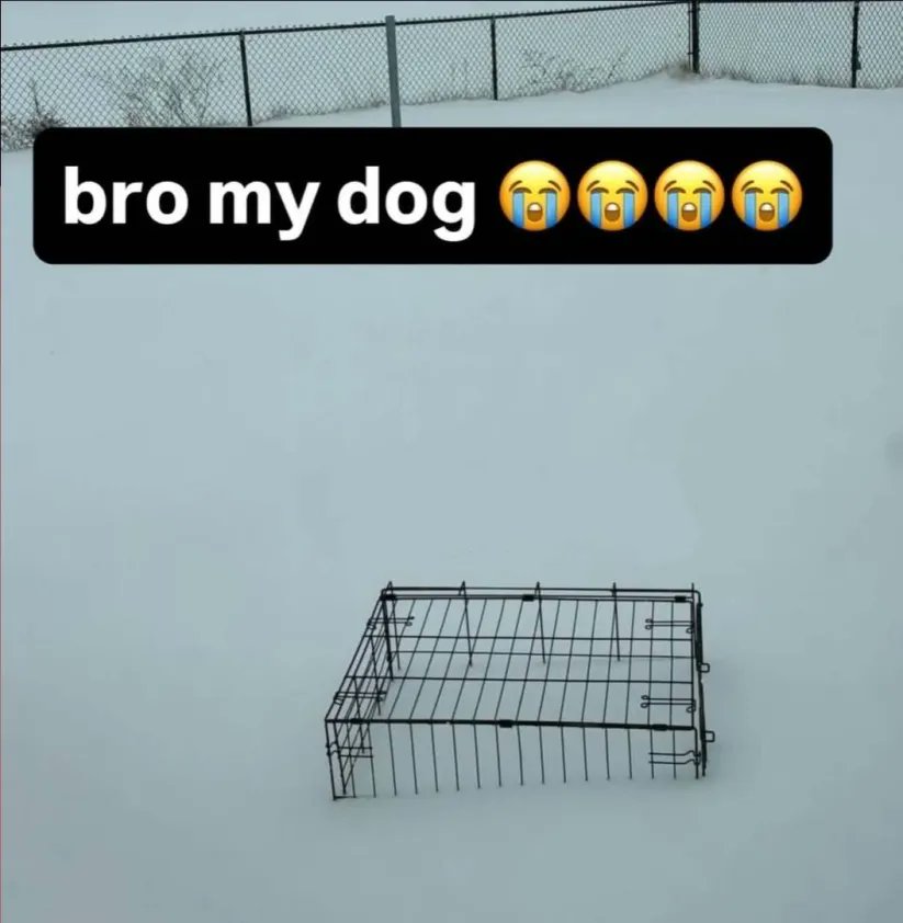 brainrot dimension tweet media