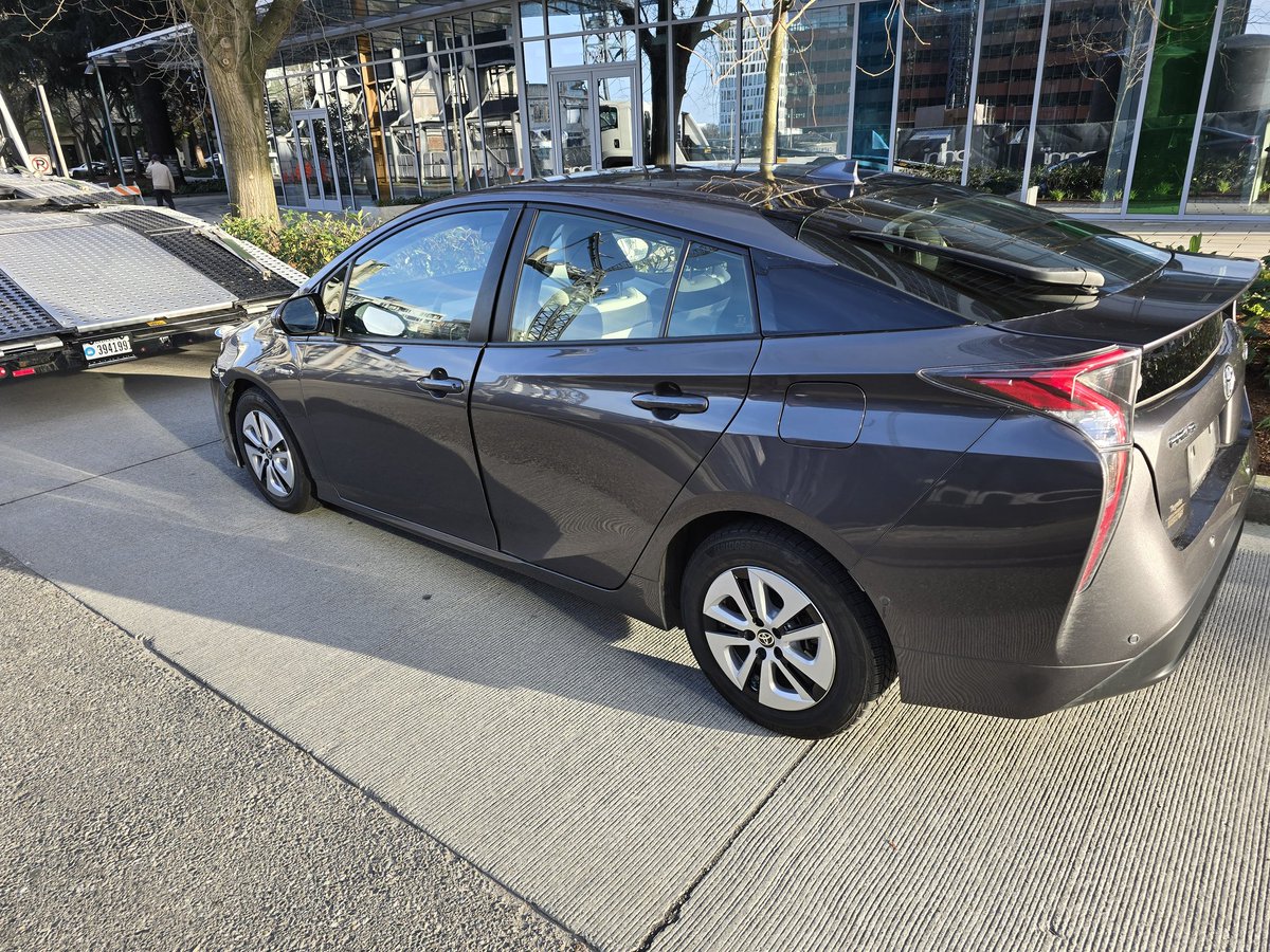 Lexi - Puppy Girl Scientist - Catnip for British tweet media