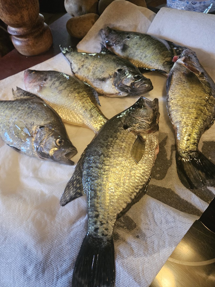 P.N.W outdoors (R.F.C.) tweet media