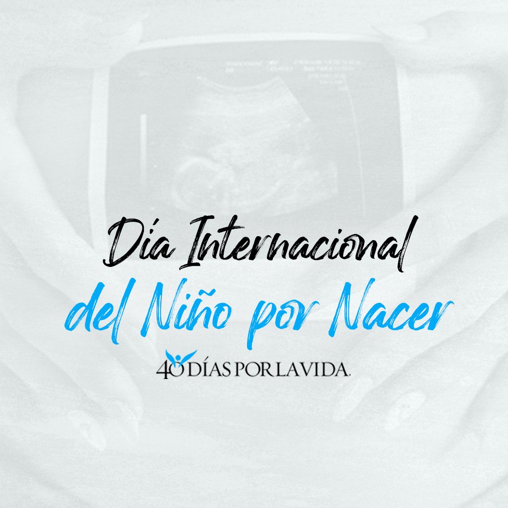 40 Días por la Vida tweet media