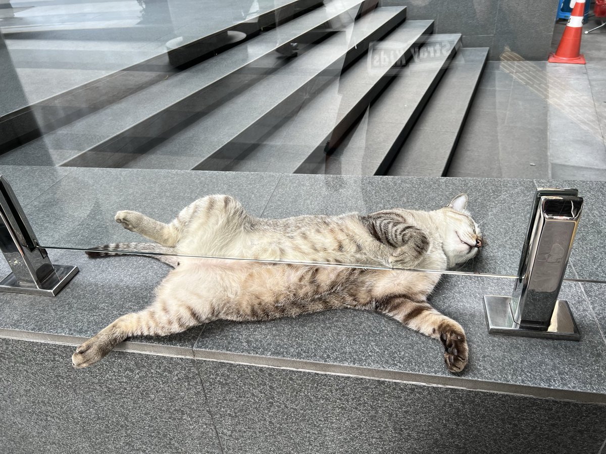 乃ｷ 『ฉันเหมือนคนปวดหลัง』 tweet media