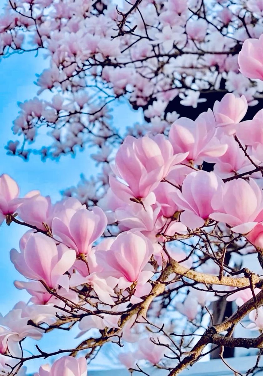 Anna ❤ De Lorenzo tweet media