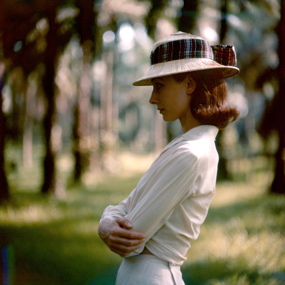 best of audrey hepburn tweet media