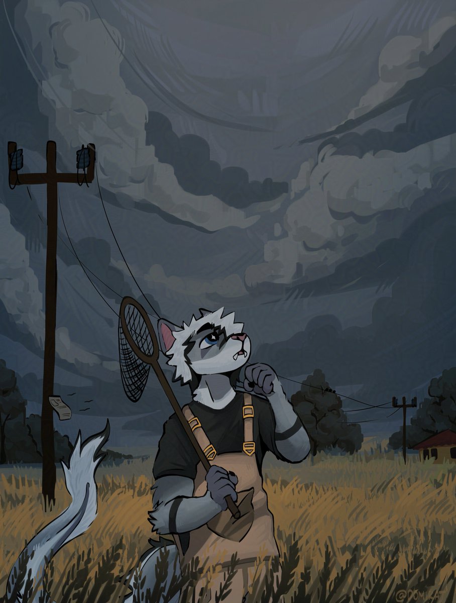 Domik 도믹 (open) tweet media