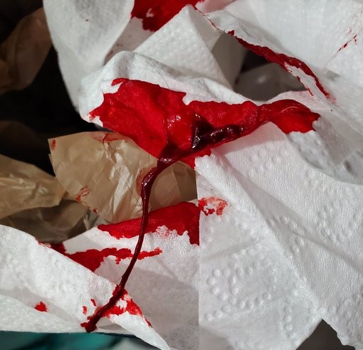 Seahorse tweet media