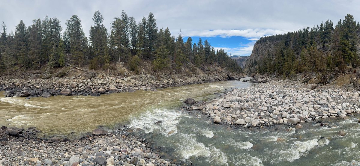 Beyond the Boardwalks: Yellowstone National Park tweet media