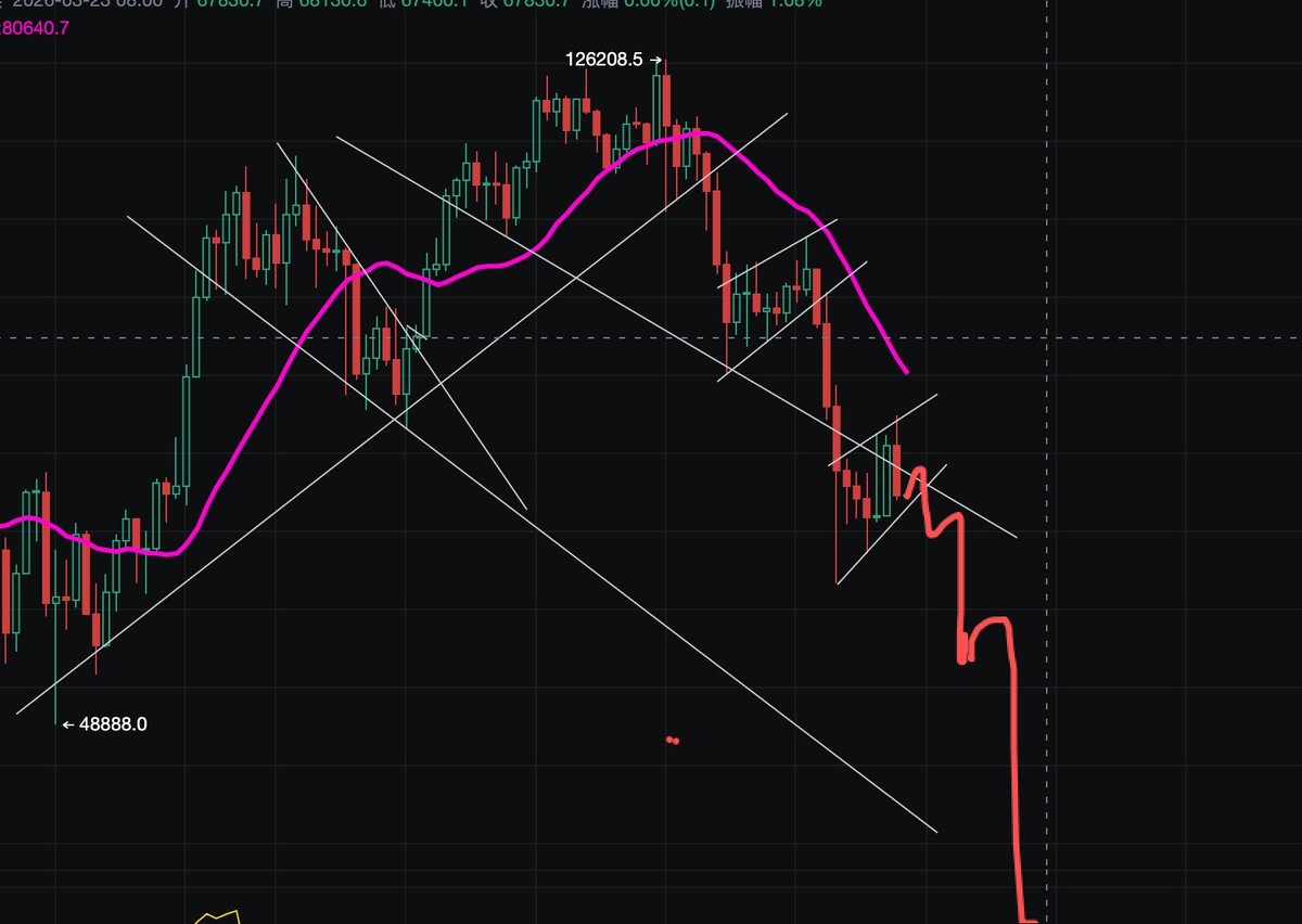 逍遥XTony tweet media