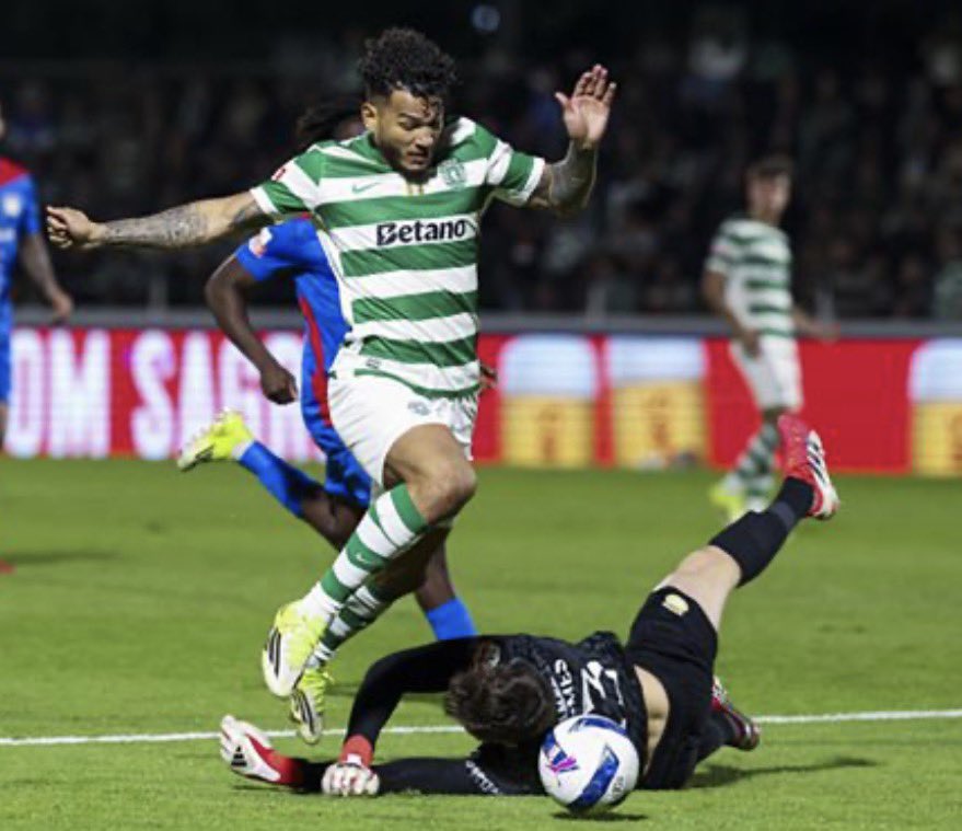 ANTI_MALFIQUISTÃO tweet media