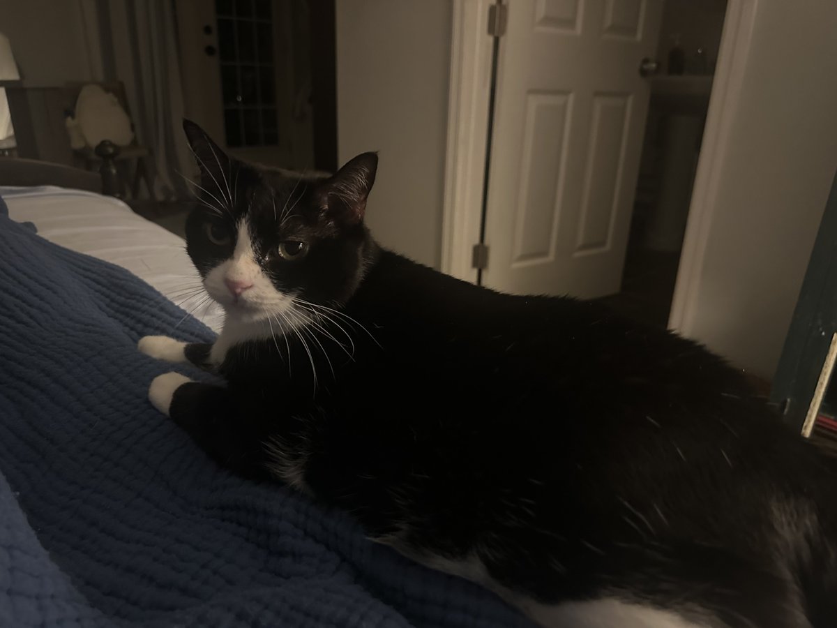 Patrick Skinner tweet media