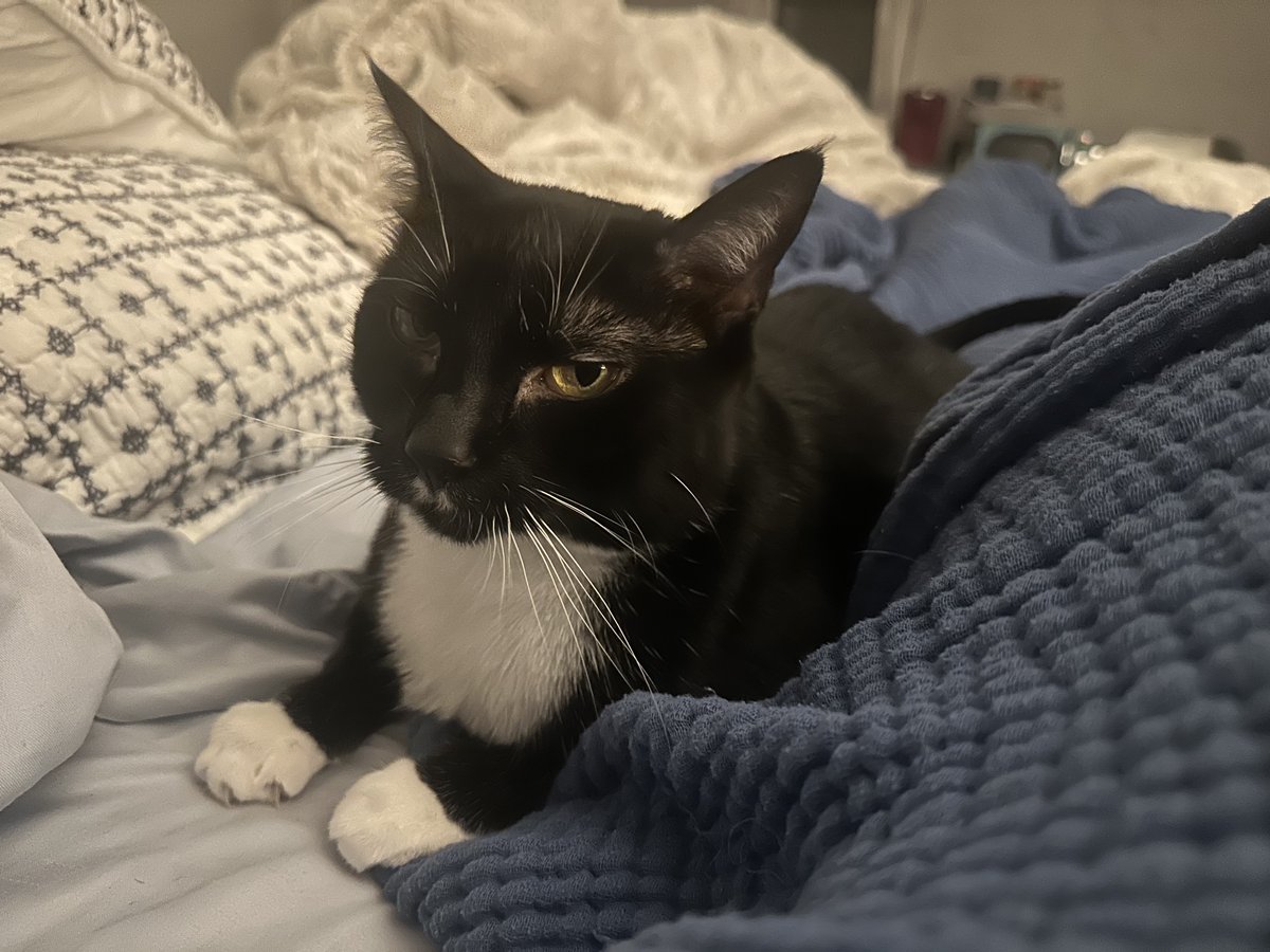 Patrick Skinner tweet media