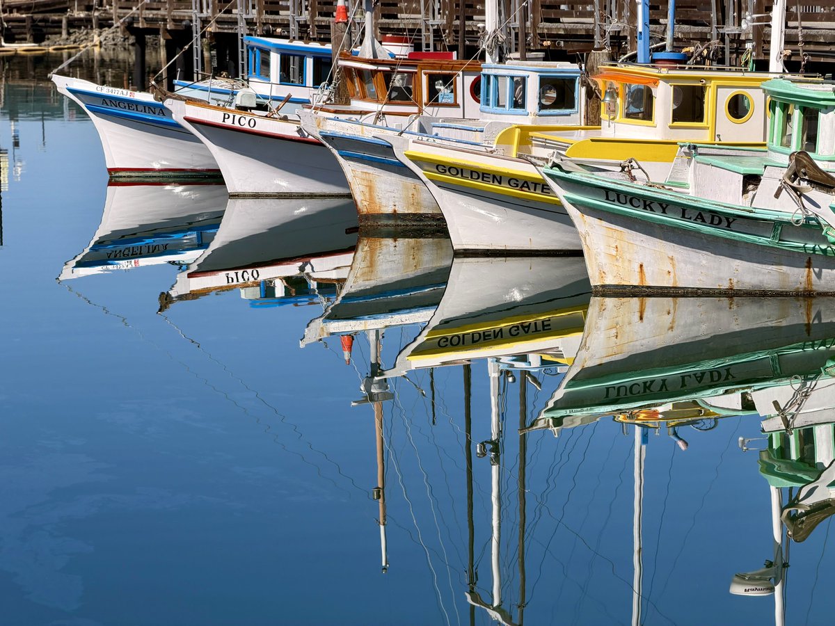 Jan Lisiecki tweet media