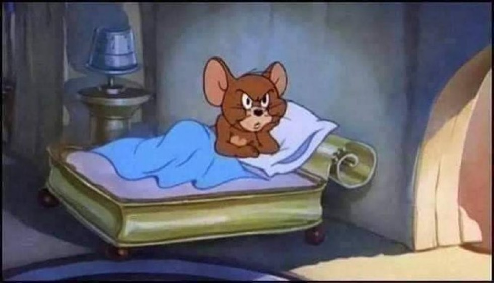 ميمو tweet media