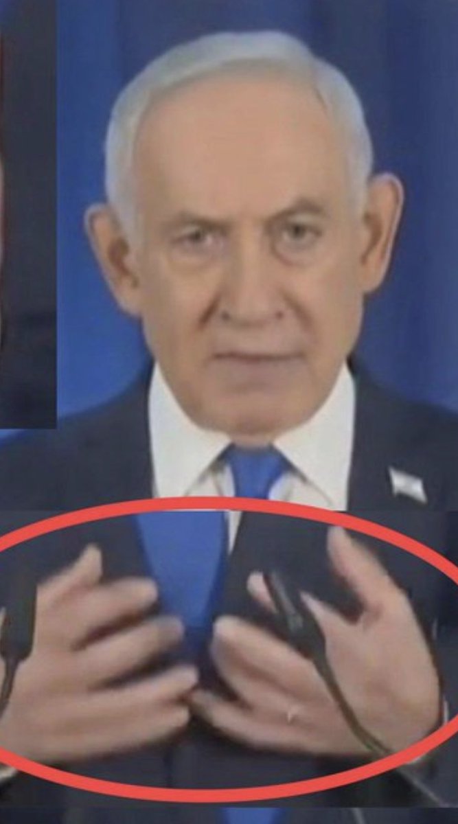 ✡︎ Shtetlite tweet media