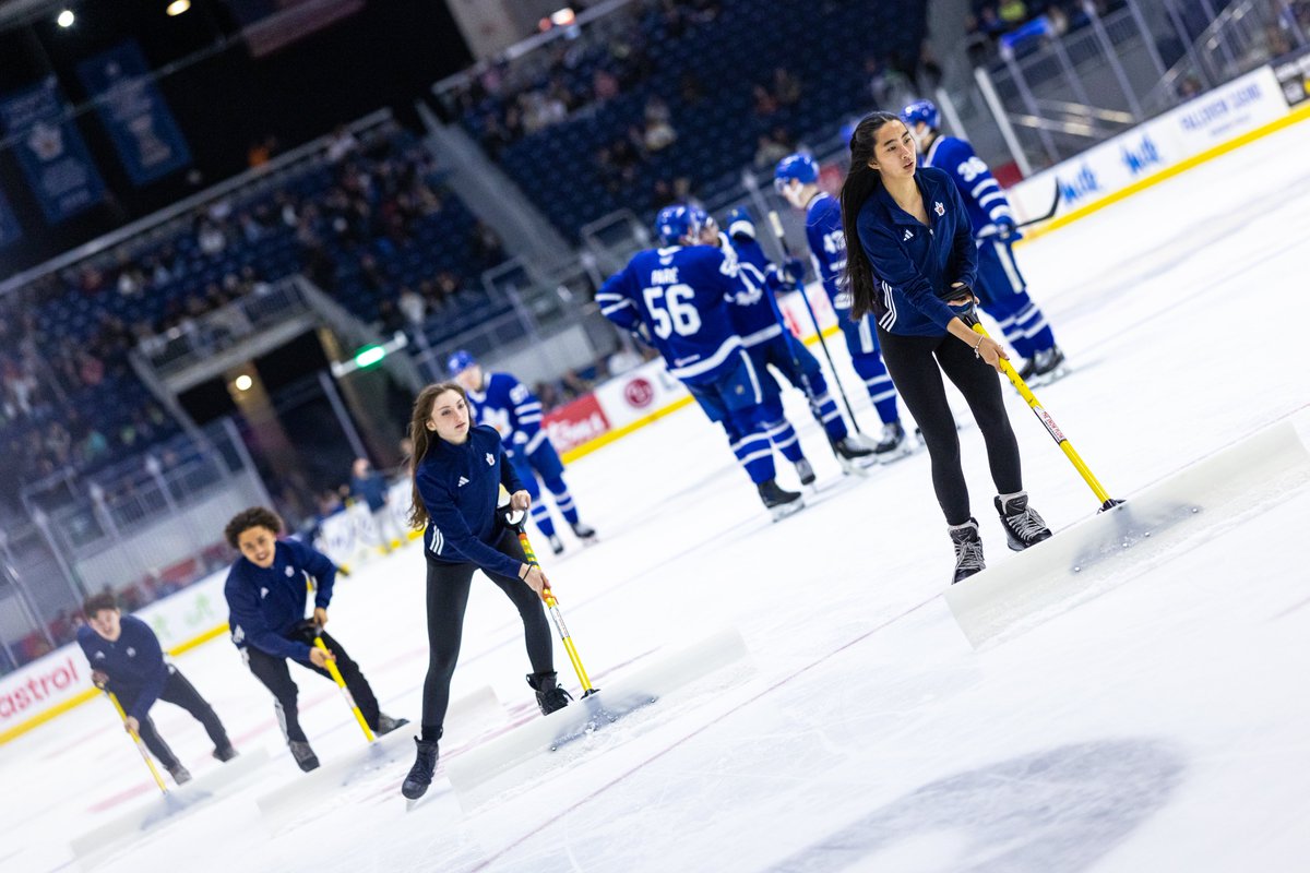 Toronto Marlies tweet media