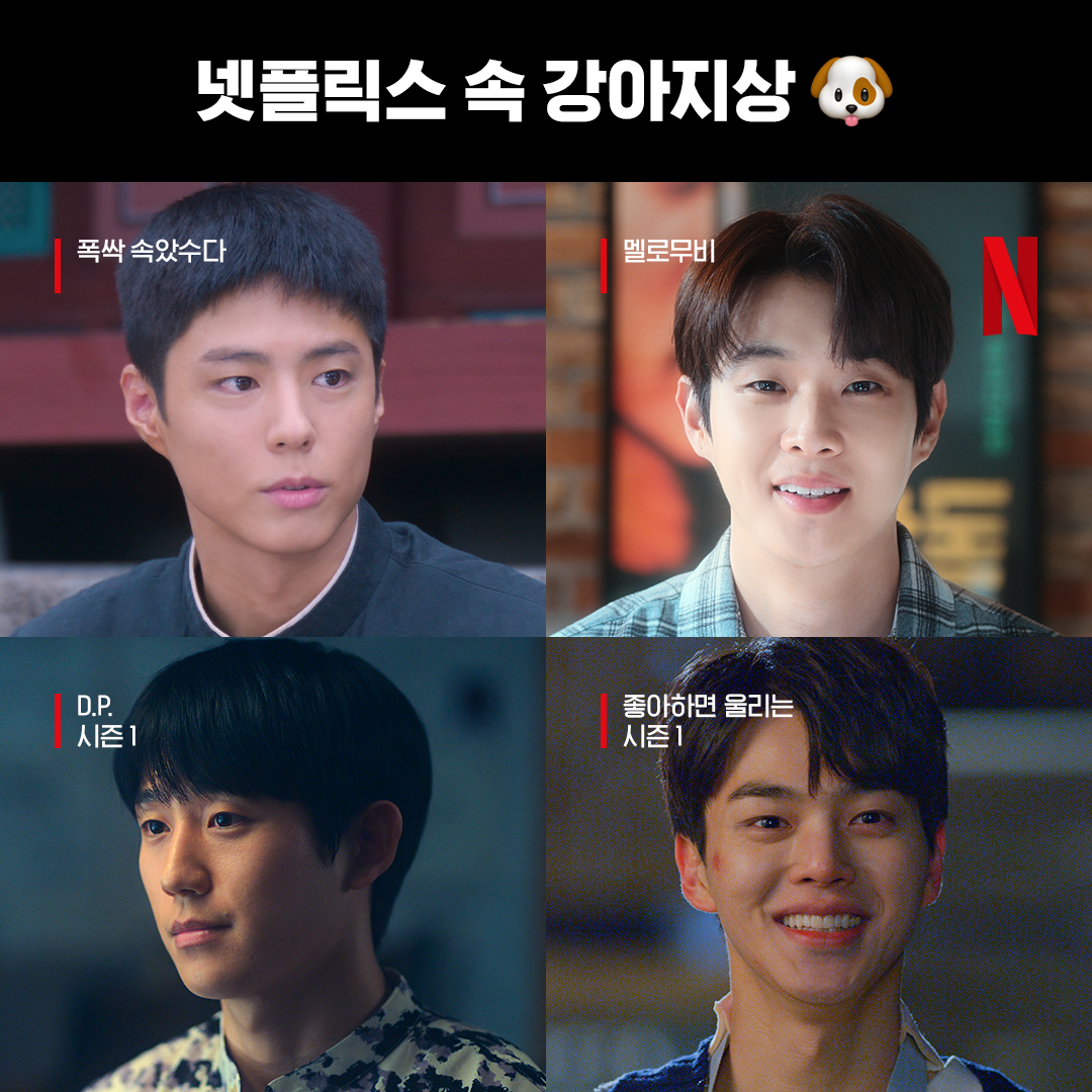 오늘은 강아지의 날입니다.

대형견에서 소형견까지 댕댕미 넘치는 댕댕상 배우들도 넷플릭스에서.