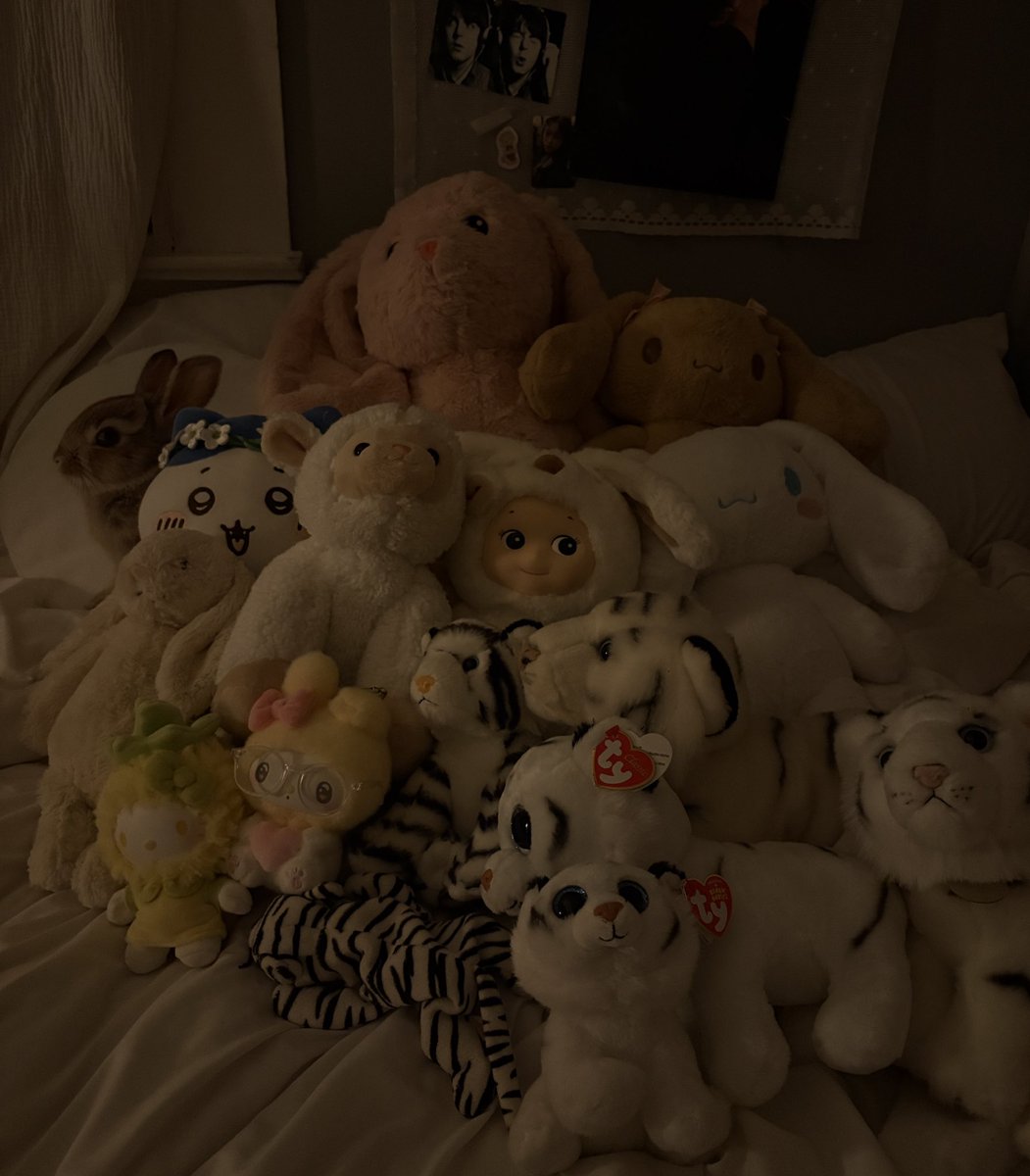 poppy ⭑ tweet media