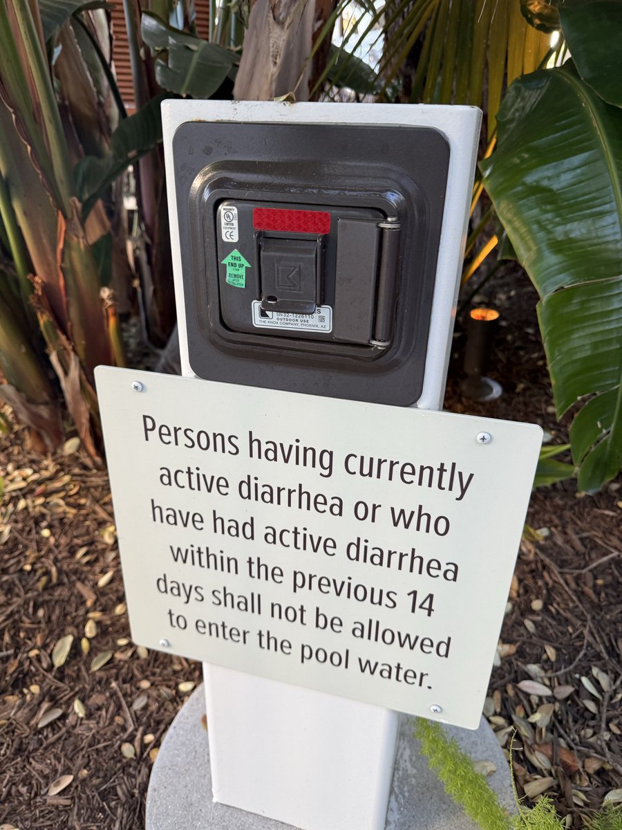 Chasing Morgan tweet media