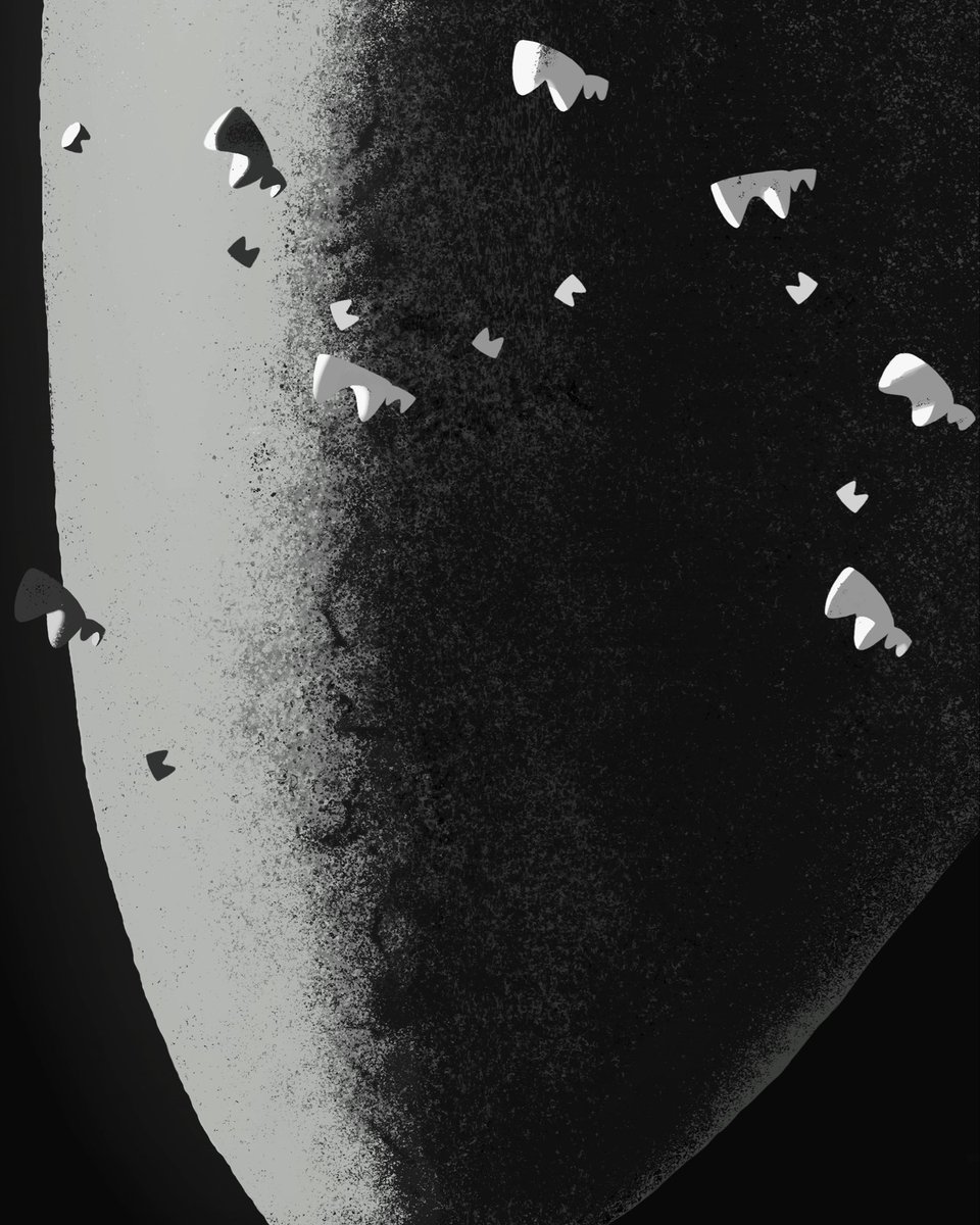 salamander tweet media