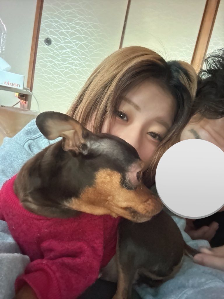 さお🐻‍❄️ tweet media