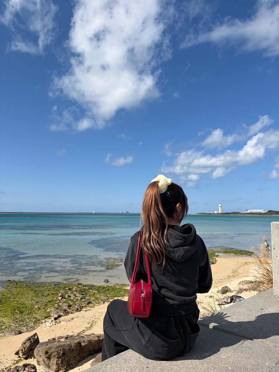 さお🐻‍❄️ tweet media