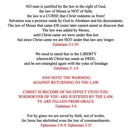 Hikyuu Mikado 🏳️🌈🪶🍵🍑 tweet media