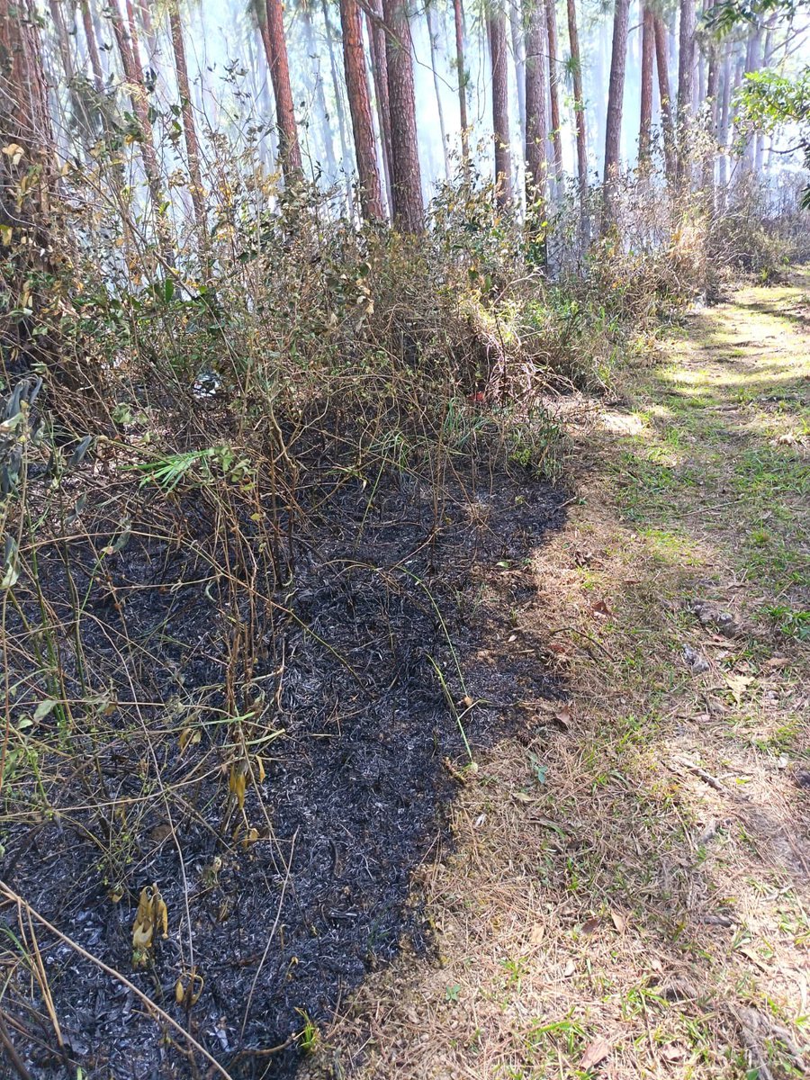 📍Veraguas | Reserva Forestal La Yeguada.

Entre equipos de MiAMBIENTE, brigadistas, voluntarios y moradores, logramos controlar y liquidar un incendio de masa vegetal en la parcela El Flor, zona de amortiguamiento de la reserva, tras ser reportado al mediodía por un ciudadano.