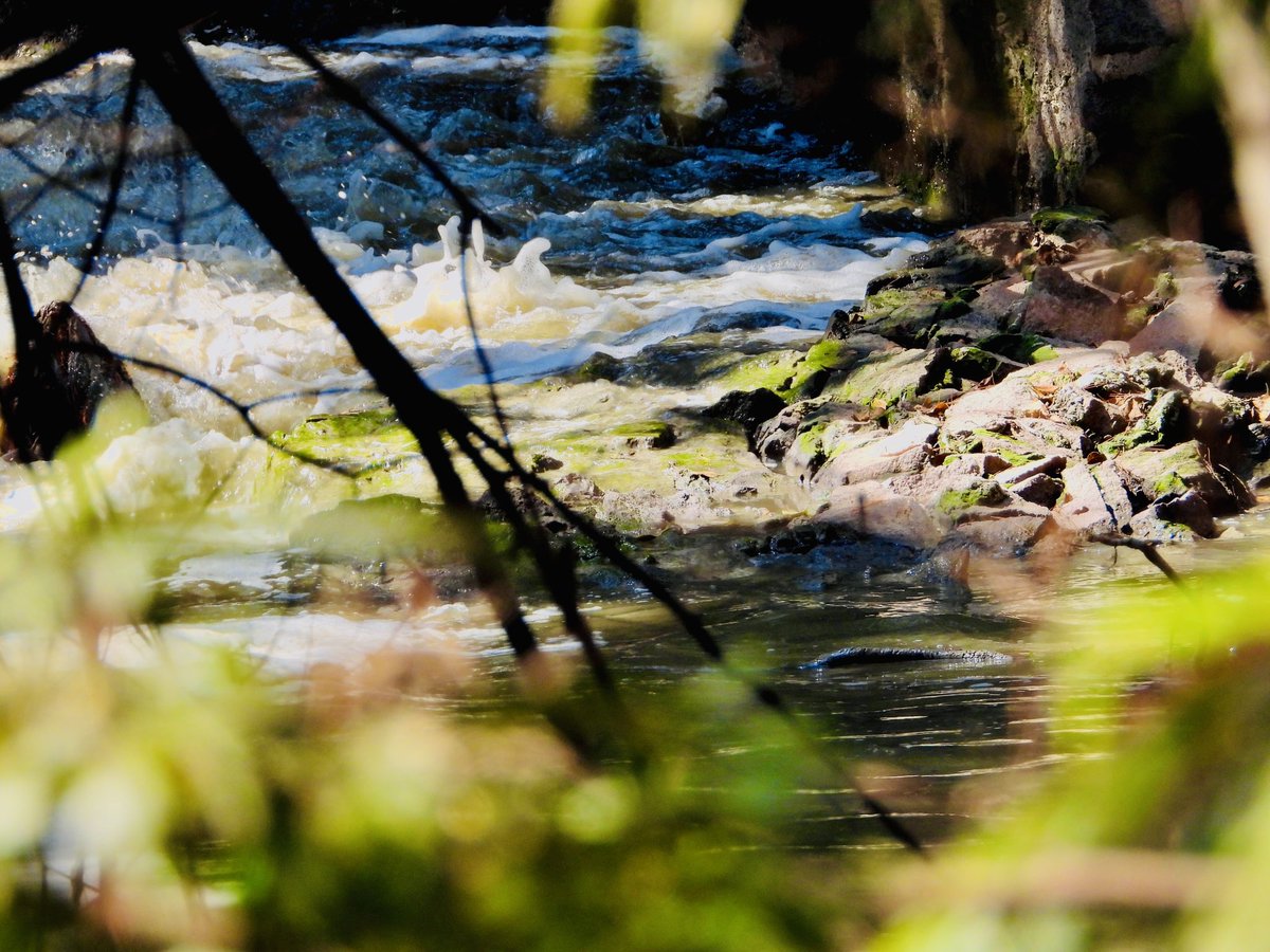 Marina Robles tweet media