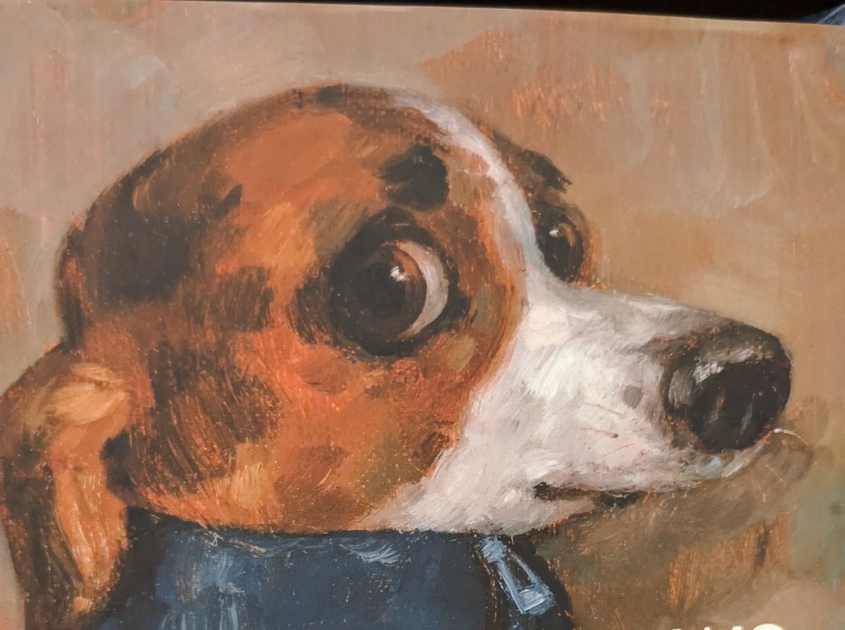 basic jay ✨ tweet media