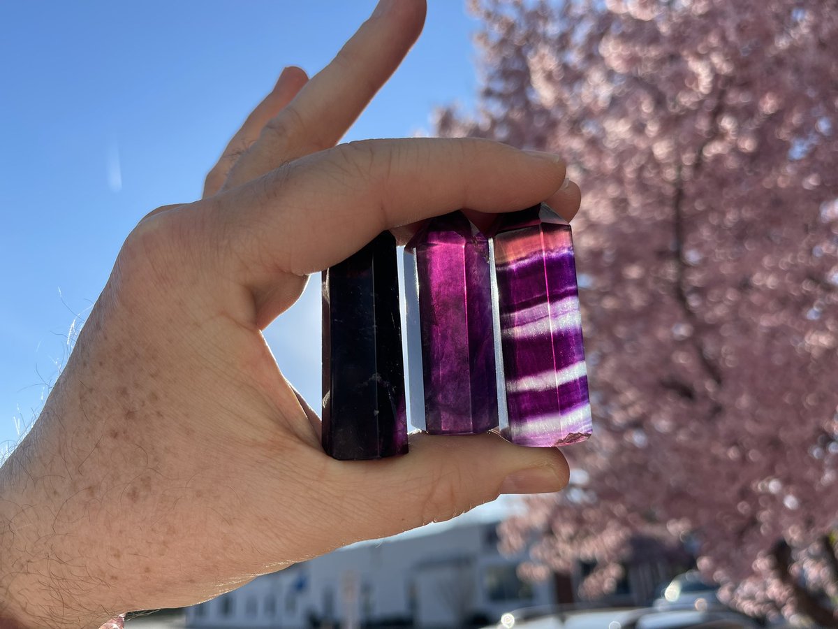 The Crystal Fox tweet media