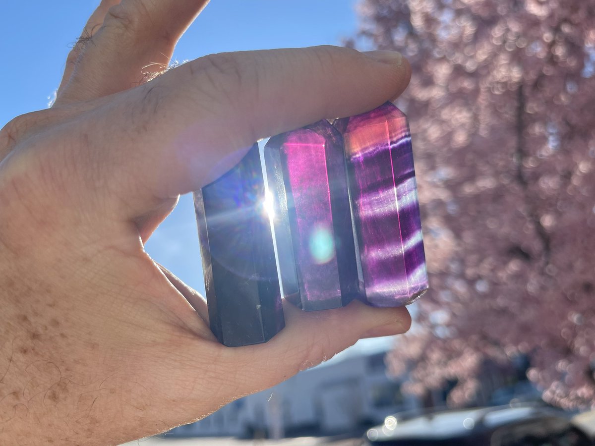 The Crystal Fox tweet media