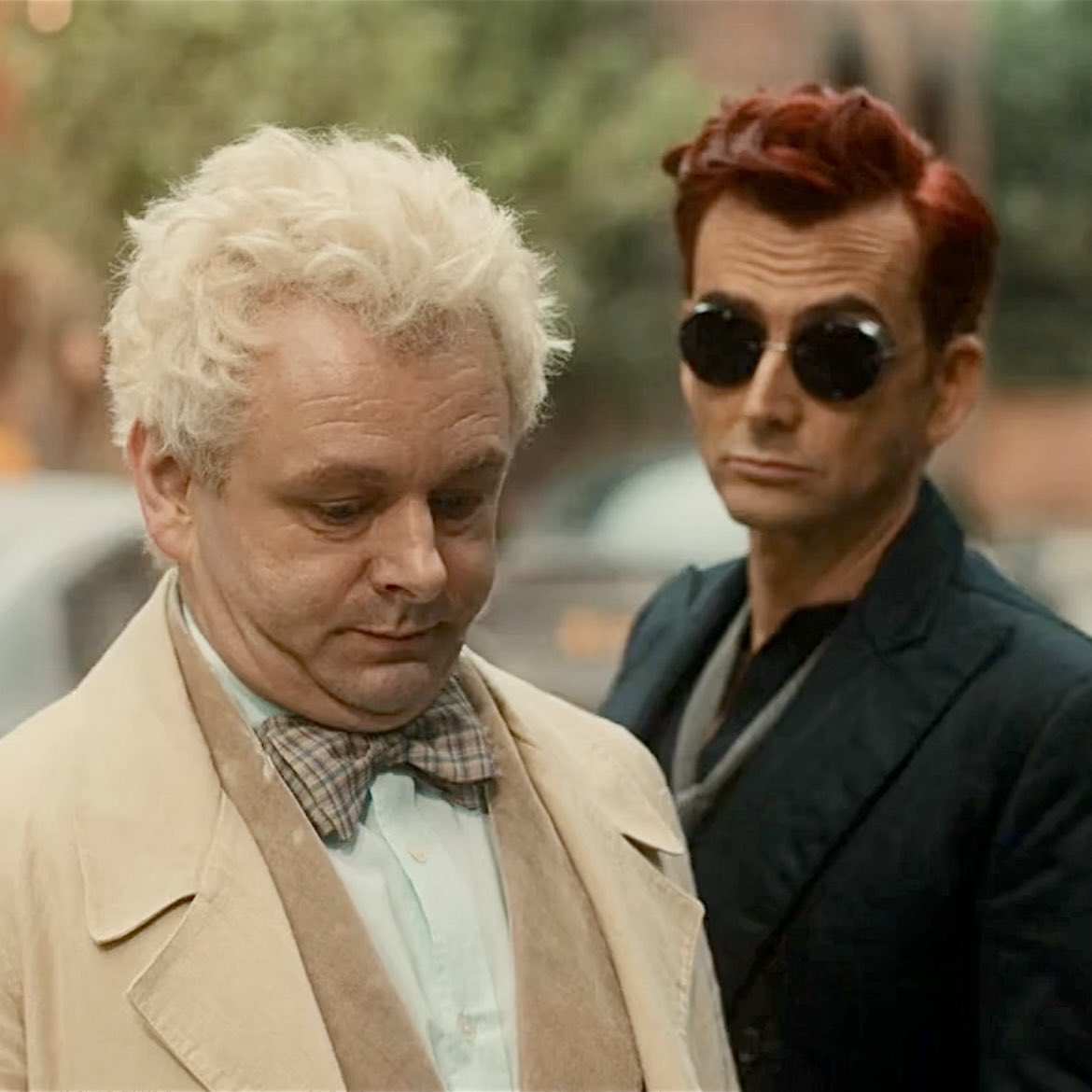 Azira’s Aardvark | The Odd One tweet media