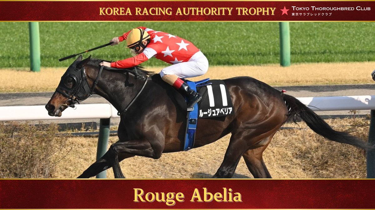 【公式】東京サラブレッドクラブ tweet media