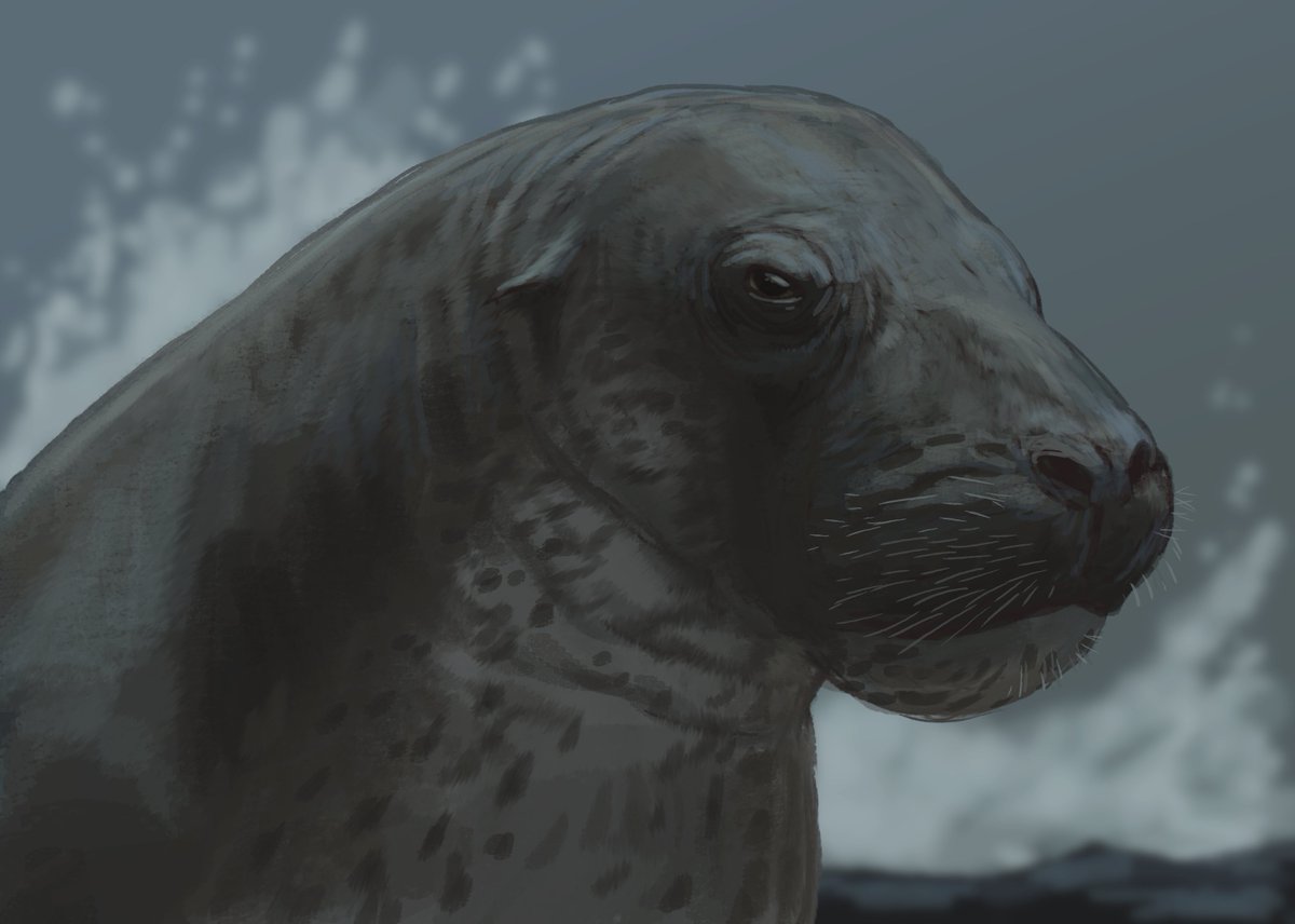 Joschua Knüppe tweet media