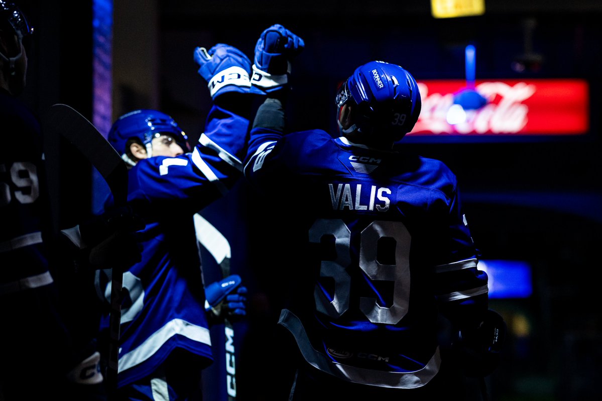 Toronto Marlies tweet media