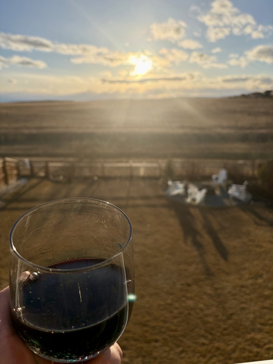 tom 🖍 tweet media