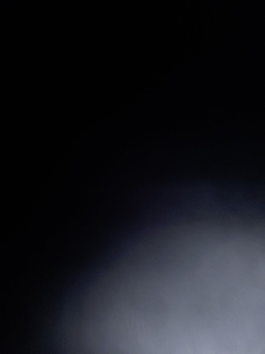 Lyme Disease Truther tweet media