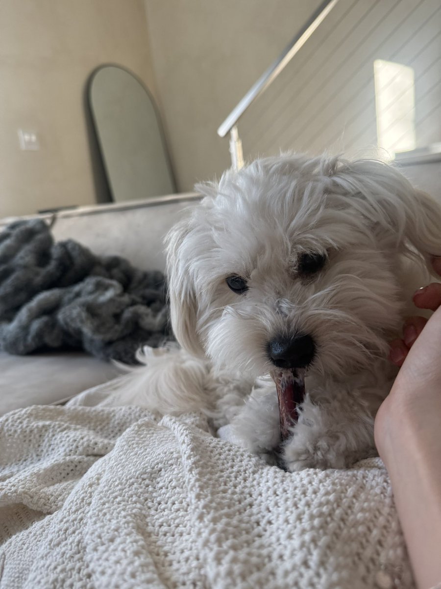 chael࿎ tweet media