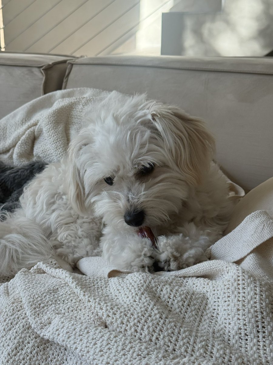 chael࿎ tweet media