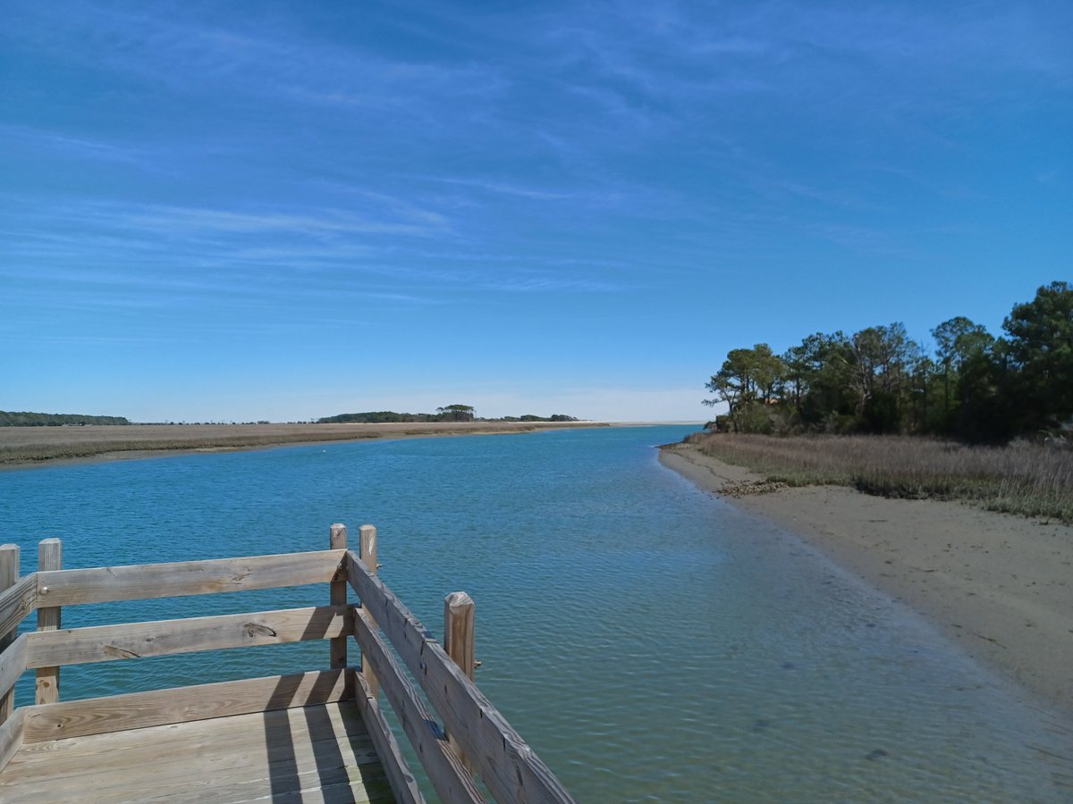 Dale Batko MBA M.Ed. 🇺🇸 tweet media