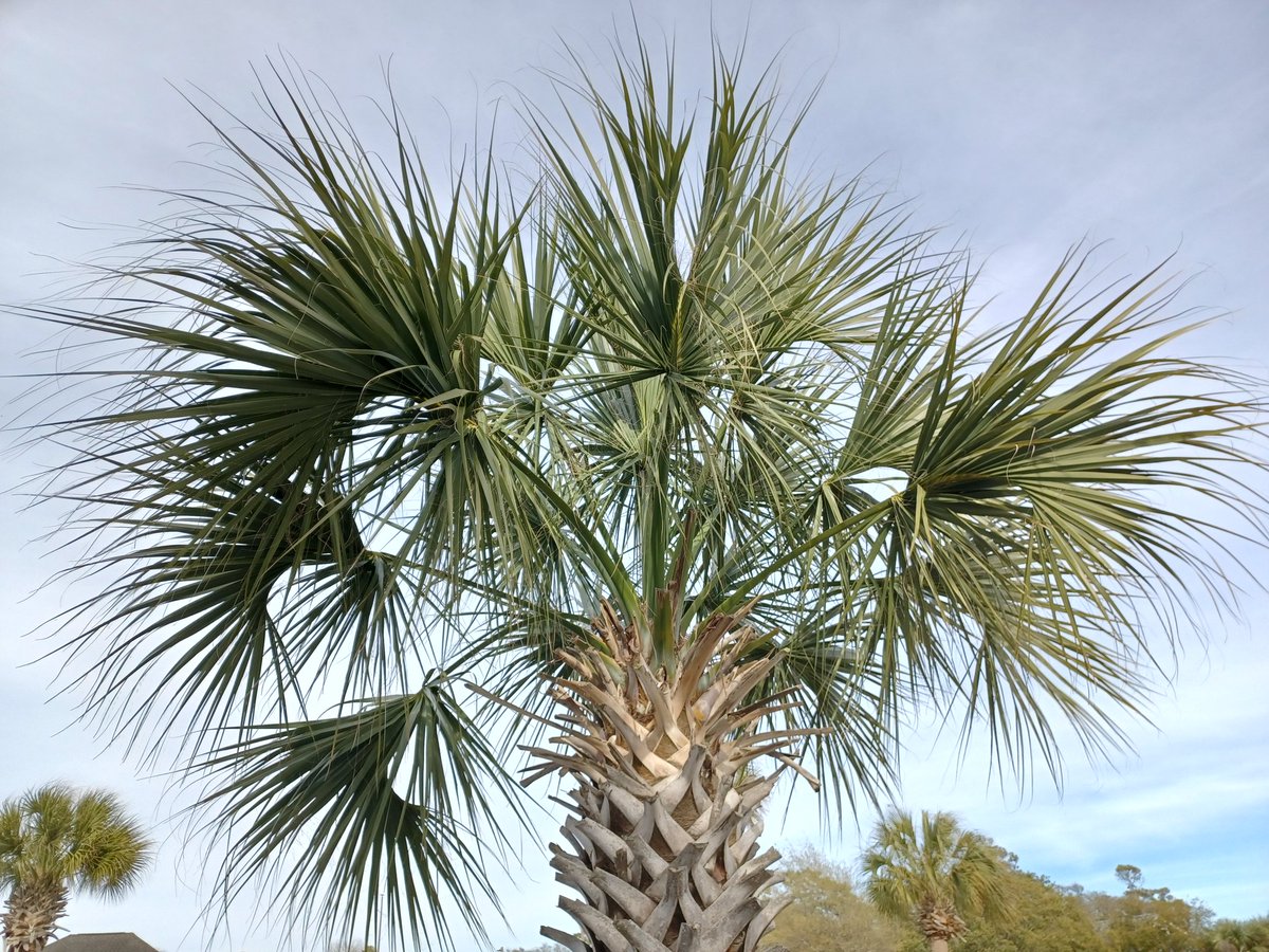 Dale Batko MBA M.Ed. 🇺🇸 tweet media