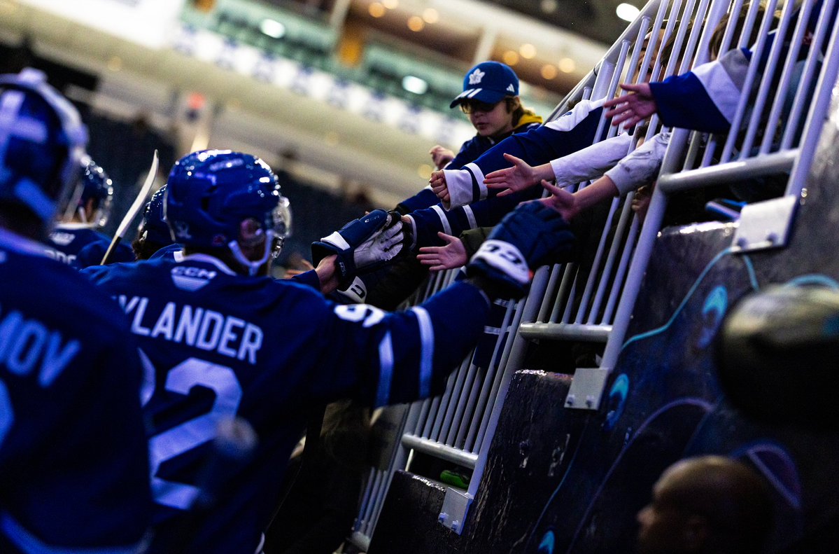 Toronto Marlies tweet media