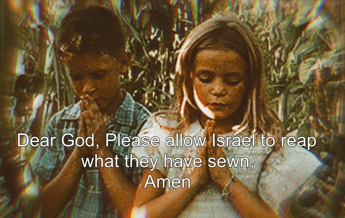 Gabriel II🌩️ tweet media