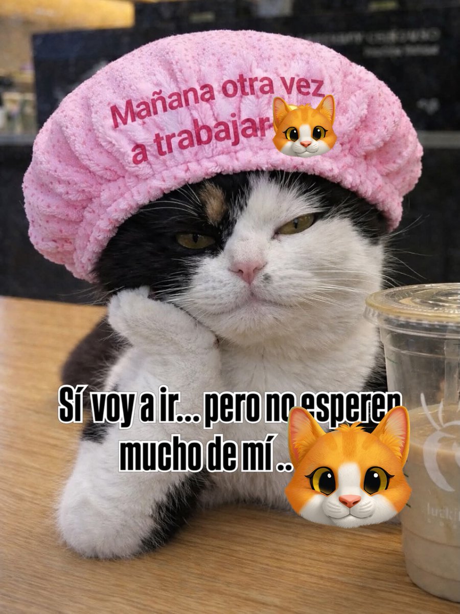 Moana 💕⚖️🫰🏻 tweet media